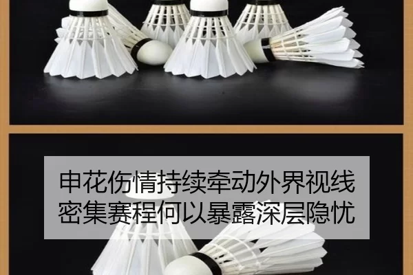 shen-hua-shang-qing-chi-xu-qian-dong-wai-jie-shi-xian-mi-ji-sai-cheng-he-yi-bao-lu-shen-ceng-yin-you-2-162.jpg